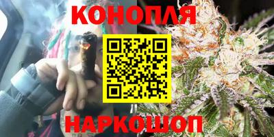 стафф Тверь