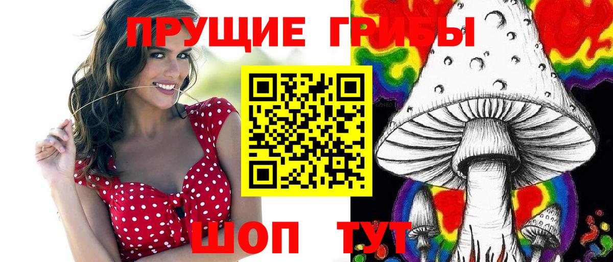 Псилоцибиновые грибы мицелий Магнитогорск