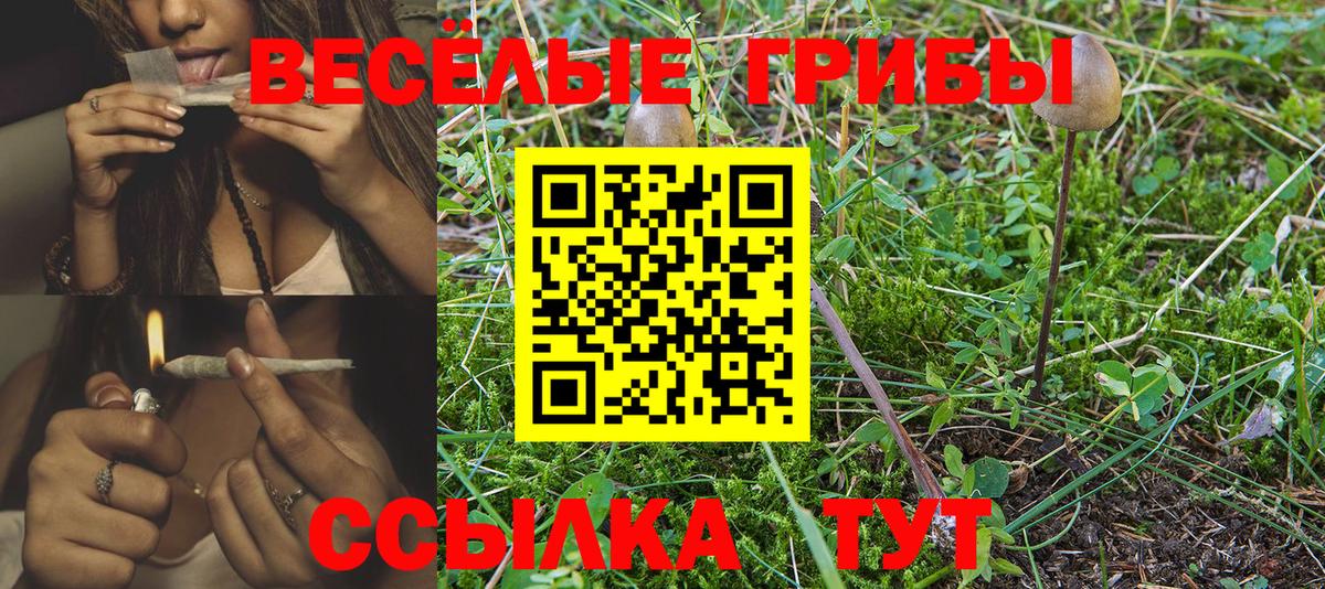 Псилоцибиновые грибы ЛСД  Псилоцибиновые грибы Magic Shrooms  Магнитогорск  Вход с VPN 